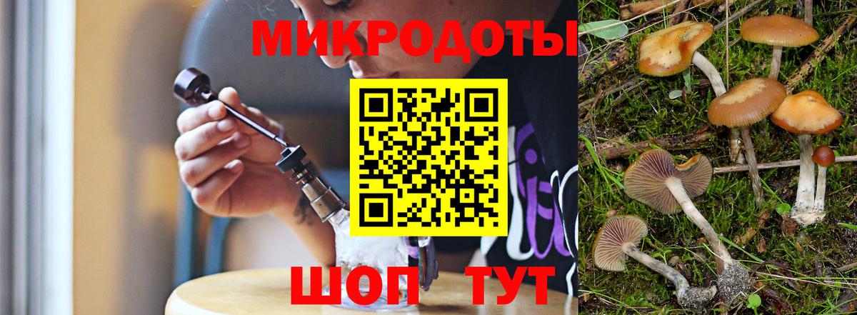 Галлюциногенные грибы Magic Shrooms  Галлюциногенные грибы Cubensis  Бийск  Вход с VPN 