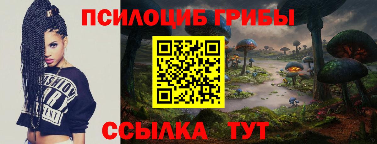 Псилоцибиновые грибы Psilocybine cubensis Бийск